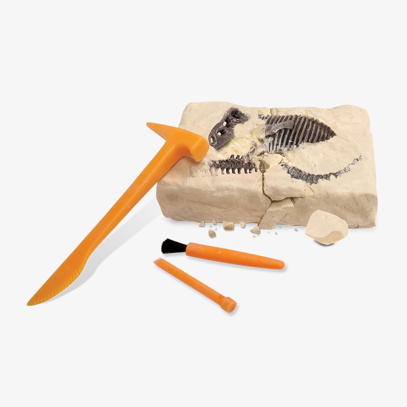 Dino excavation kit Dr Steven Hunters - Tyrannosaurus rex skeleton - Imagen 3