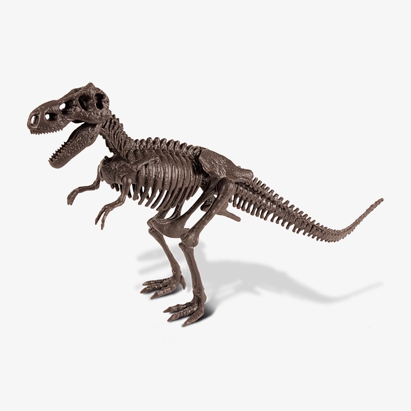 Dino excavation kit Dr Steven Hunters - Tyrannosaurus rex skeleton - Imagen 4