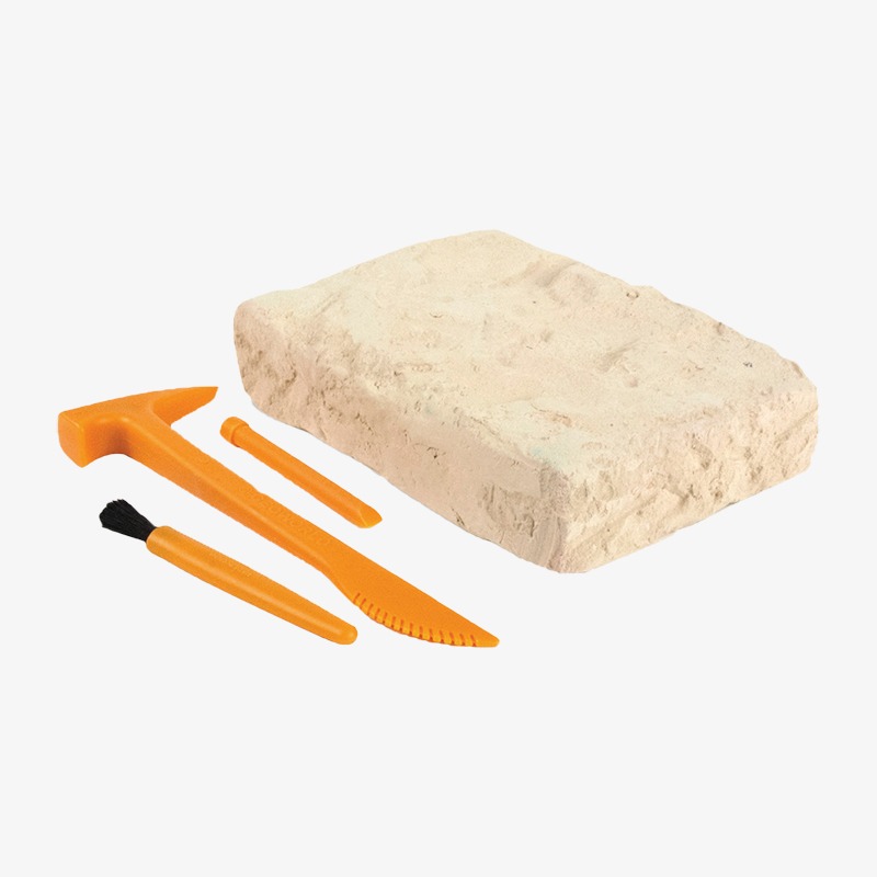 Dino excavation kit Dr Steven Hunters - Brachiosaurus skeleton - Imagen 2