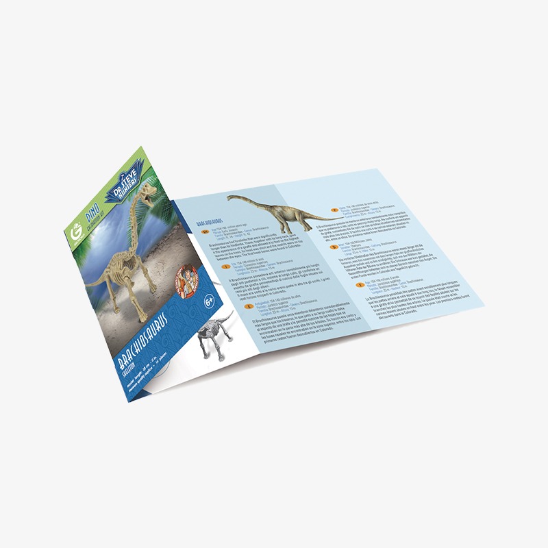 Dino excavation kit Dr Steven Hunters - Brachiosaurus skeleton - Imagen 4